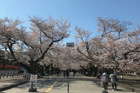 2019年度1Qがスタートしました（4月）